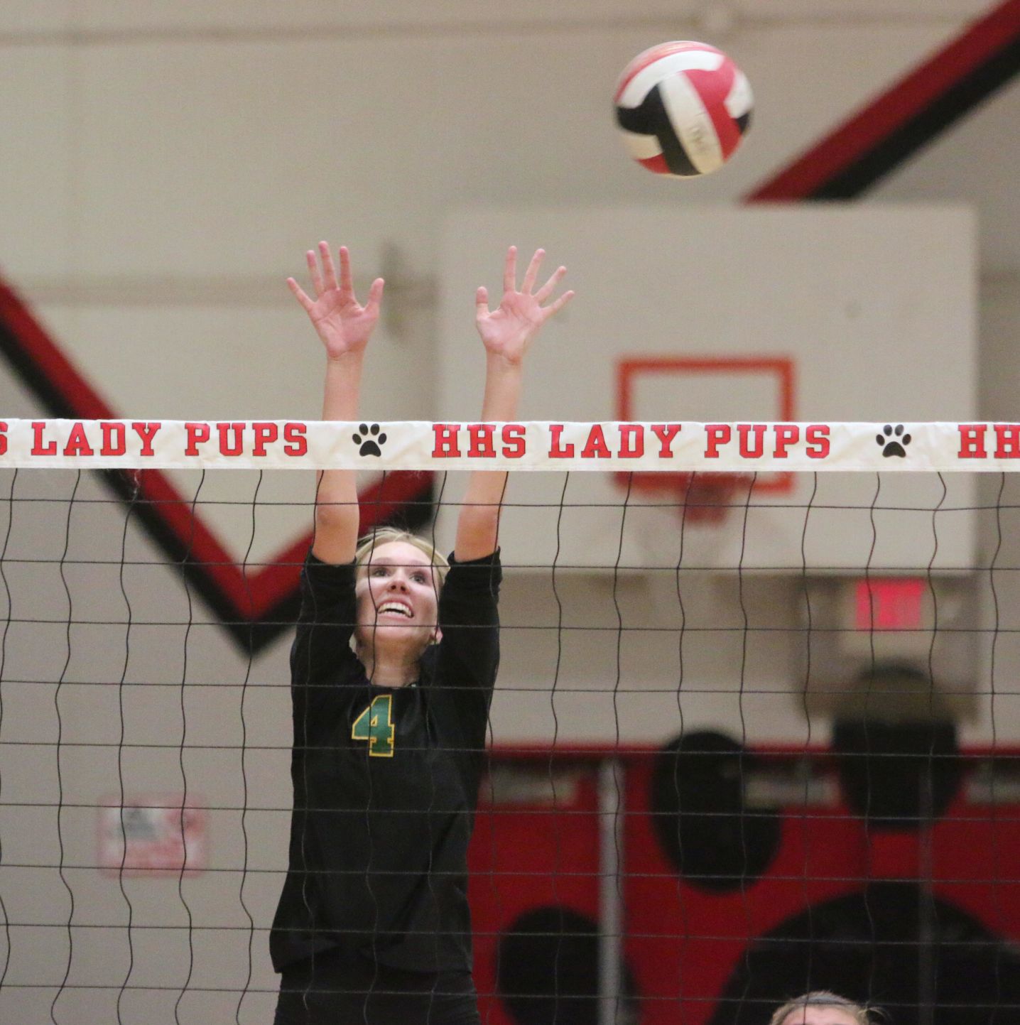 Golden Bears open season with victory over Bullpups